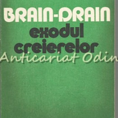 Brain-Drain. Exodul Creierelor - Paul Stefanescu