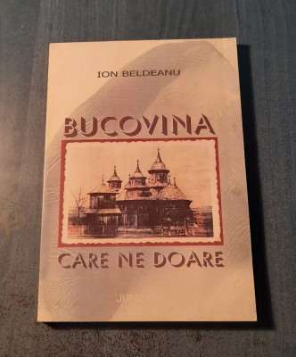 Bucovina care doare Ion Beldeanu foto
