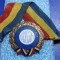 Medalion Pentru merite deosebite in munca UCECOM