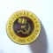 Insigna surub - Al VI Congres PCRM - Moldova 2008 , d=2,6cm