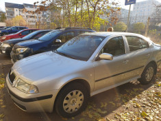 Skoda Octavia, 2006, 1,9 TDI, gri metalizat foto