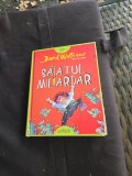 Băiatul Miliardar