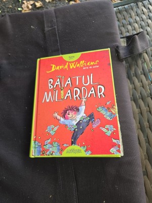 Băiatul Miliardar foto