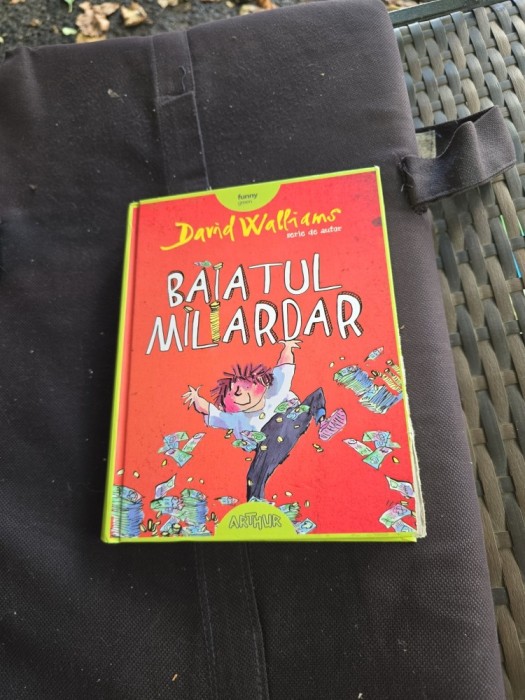 Băiatul Miliardar