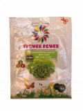 Ingrasamant Flower Power pt plante verzi cu eliberare lenta efect 90 zile 5 grame, Semplus