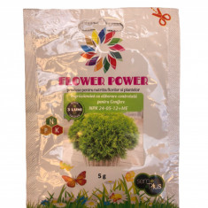 Ingrasamant Flower Power pt plante verzi cu eliberare lenta efect 90 zile 5 grame