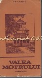 Cumpara ieftin Valea Motrului - Itinerar Turistic, Ion Al. Florescu, 1976, Bucuresti, Geografie