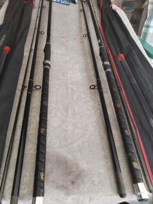 Vand doua lansete fedder foto