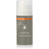 M&uuml;hle Aftershave Balm balsam după bărbierit pentru barbati Sea Buckthorn 100 ml