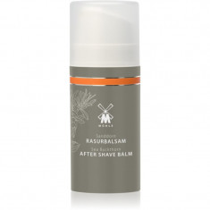 Mühle Aftershave Balm balsam după bărbierit pentru barbati Sea Buckthorn 100 ml