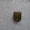insigna U Craiova