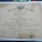 Regalitate,BREVET EMIS DE REGELE CAROL I , LA 1 ianuarie 1913, Ministerul de Resboiu ,