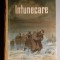 Intunecare - Cezar Petrescu 1953 * ilustratii color
