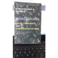 Mindfulness , Calea Constienta spre Compasiunea de Sine - Christopher K.Germer