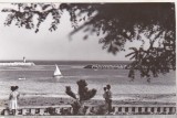 bnk cp Mangalia - Vedere spre largul marii - necirculata