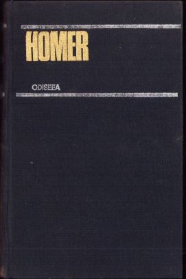 HST C3258 Homer, Odiseea 1979