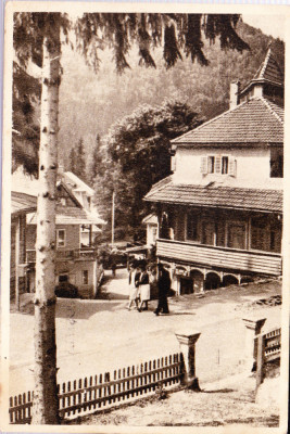 AMS# - ILUSTRATA/VEDERE TUSNAD - CASA DE ODIHNA RPR 1955, CIRCULATA foto