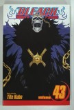 BLEACH , VOLUME 43 , story and art by TITE KUBO ,2022 , BENZI DESENATE *