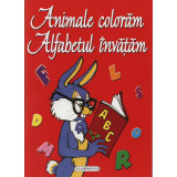 Animale colorăm, alfabetul &icirc;nvăţăm - Paperback - *** - Flamingo