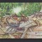 MALAYESIA 2009 FAUNA MI.BL.137 MNH