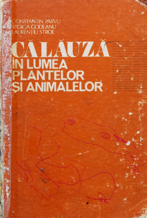 Calauza In Lumea Plantelor Si Animalelor - Colectiv ,560717