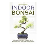 Indoor Bonsai