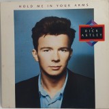 Rick Astley &lrm;&ndash; Hold Me In Your Arms vinil LP disc synth pop RCA Europa 1988