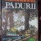 Almanahul padurii 1985