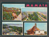 CPIB 19072 CARTE POSTALA - MAMAIA, MOZAIC, Circulata, Fotografie