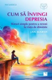 Cum Sa Invingi Depresia. Sfaturi Simple Pentru A Reveni La Viata De Dinainte, Jan Marsh - Editura Niculescu