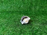 Roata Sustinere Masina de Spalat Verticala Indesit WITL 105 / C84