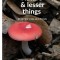 Nature And Lesser Things: Poetry Collection