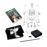 Jucarie educativa - Skeleton 45 cm | Buki