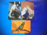 HOPCT LOT NR 376 PASARI EXOTICE -PAPAGALI -3 CARTI POSTALE-NECIRCULATE