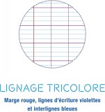Agenda/Caiet cu spirală, 148 pagini, CLAIREFONTAINE