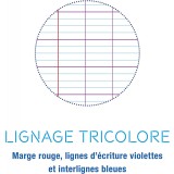 Agenda/Caiet cu spirală, 148 pagini, CLAIREFONTAINE