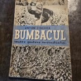 BUMBACUL, MARE PUTERE MONDIALA - ANTON ZISCHKA