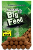 Haldorado - Big Feed S22 Soluble Boilie Mango -800g ,22mm