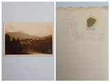 Fotografie veche, Atelier Bilinski: Peisaj din Predeal, Brasov, Transilvania, ca. 1920