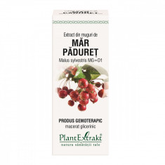 Extract din muguri de Mar Paduret, 50ml, PlantExtrakt