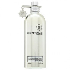 Montale Embruns d&amp;amp;apos;Essaouira Eau de Parfum unisex 100 ml foto