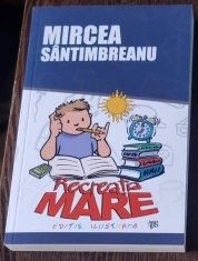 Mircea Sintimbreanu - Recreatia Mare foto