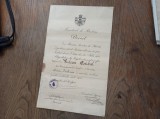 Brevet - Medalia Victoria - 1916 -1921