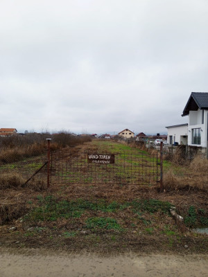 Teren intravilan Lapusel foto