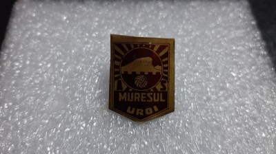 Insigna MURESUL UROI foto