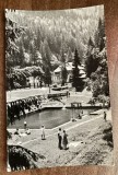 QW24 L - Carte postala - tematica turism - vedere - Lacul Rosu 17 - 1964