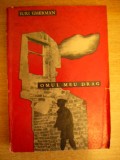 myh 36s - Iuri Gherman - Omul meu drag - ed 1965