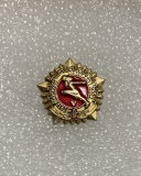 Insigna rusia