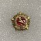 Insigna rusia