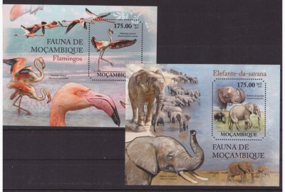 121-MOZAMBIC -FAUNA-Doua blocuri nestampilate flamingi si elefanti foto